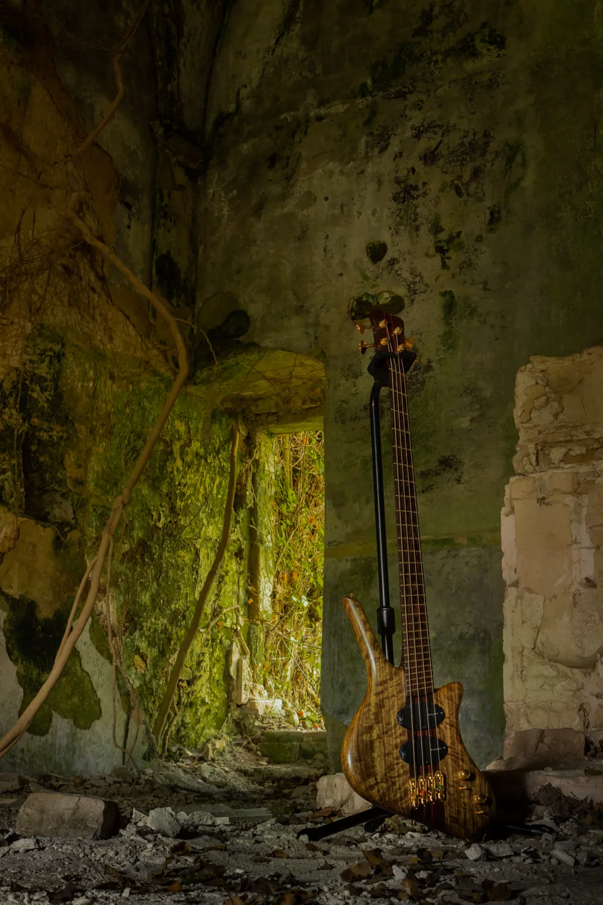 Pangea, a multiscale bass in ovangkol, leaning inside a moss-covered ruin